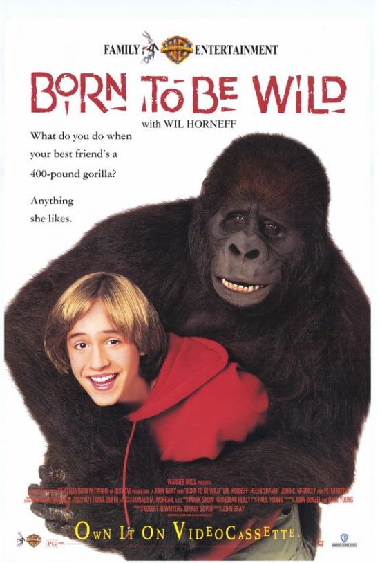 MOVAH1620 Born to be Wild Movie Poster - 27 x 40 in.