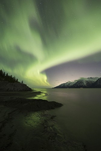 Aurora Borealis Dancing Above The Chugach Mountains & Turnagain Arm Kenai Peninsula Southcentral Alaska Poster Print by Lucas Payne, 12 x 19