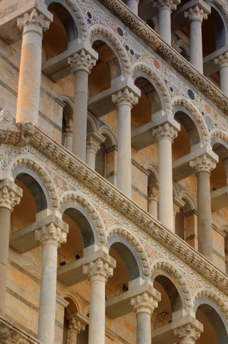 DPI1480357 Detailed Close-Up of Piazza Del Miracoli Pisa The Leaning Tower of Pisa Tuscany Italy Poster Print by Carson Ganci, 11 x 17