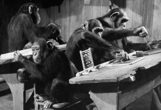 Four Chimpanzees Sitting in a Classroom Poster Print - 18 x 24 in.
