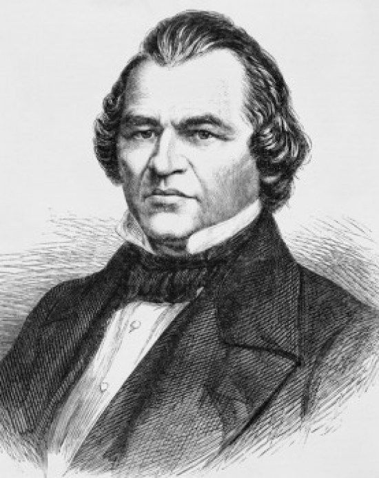 President Andrew Johnson Artist Unknown Poster Print - 18 x 24 in.