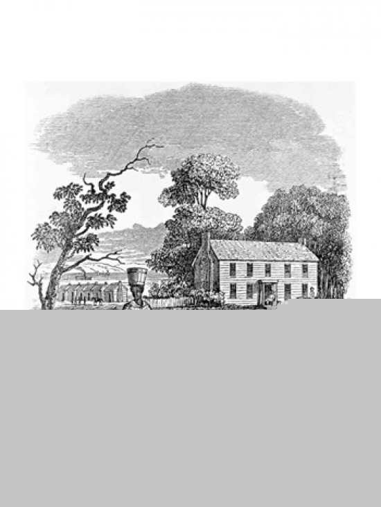 Plantation Scene Poster Print - 18 x 24 in.