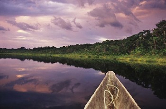 PDDSA07CBE0000 Paddling a Dugout Canoe Amazon Basin Ecuador Poster Print by Christopher Bettencourt - 27 x 18 in.