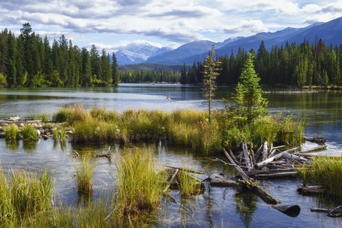 DPI12305295LARGE Beauvert Lake Jasper National Park - Jasper Alberta Canada Poster Print by Alvis Upitis, 38 x 24 - Large