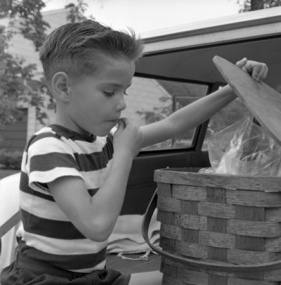 Boy Opening Picnic Basket Poster Print - 18 x 24 in.