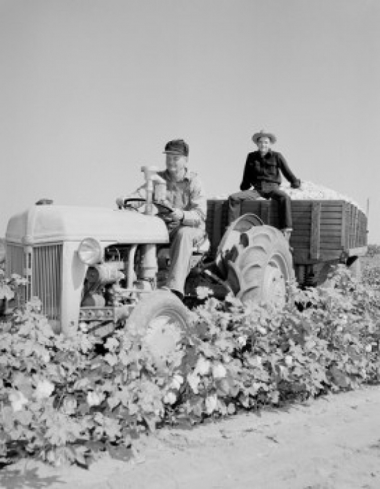 Men on Tractor Poster Print - 18 x 24 in.