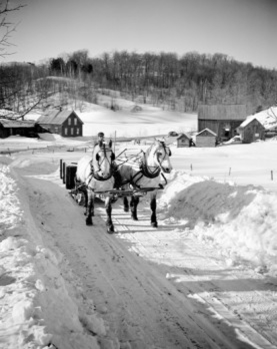 Horses Pulling Sleigh in Winter Poster Print - 18 x 24 in.