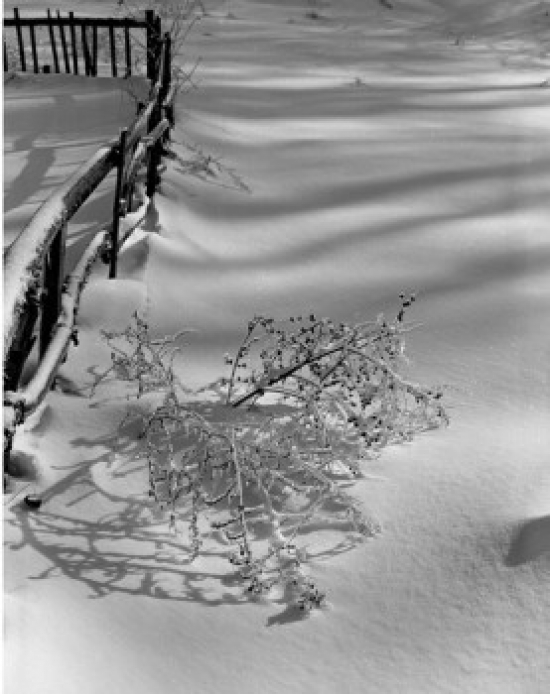 Rural Winter Scene Poster Print - 18 x 24 in.
