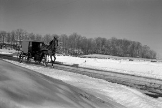 SAL255424492 USA Pennsylvania Lancaster County Horse Pulling Carriage Through Country Road Poster Print - 18 x 24 in.