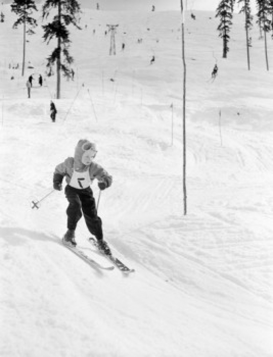 Boy Skiing High Angle View Poster Print - 18 x 24 in.