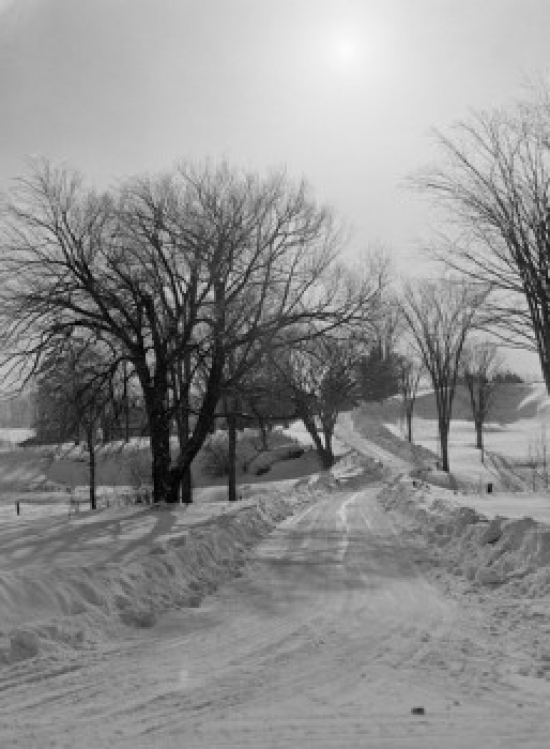 Winter Scenic at Sundown Poster Print - 18 x 24 in.