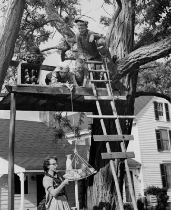 Boys Pulling Food Up to Tree House with Rope Poster Print - 18 x 24 in.