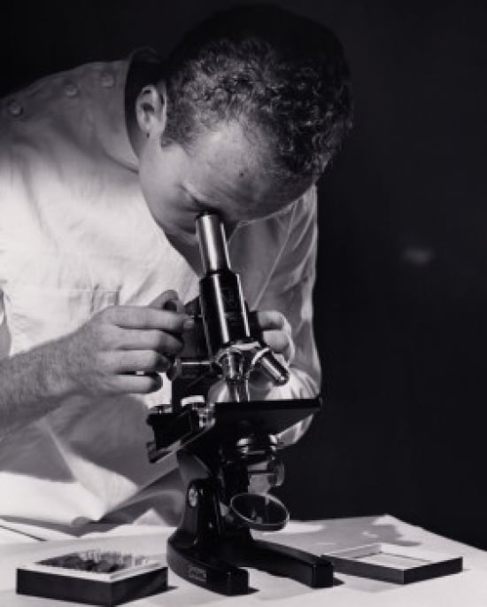 Close-Up of a Scientist Looking Through a Microscope Poster Print - 18 x 24 in.