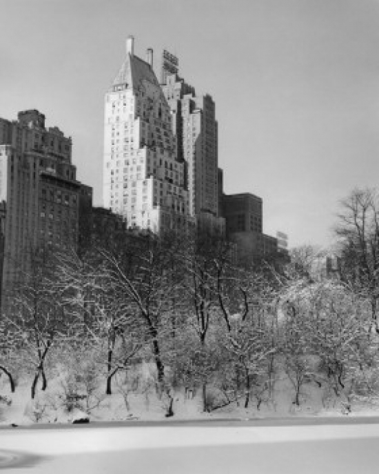 Bare Trees in a Park Central Park South Manhattan New York City New York USA Poster Print - 18 x 24 in.