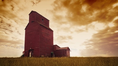 Grain Elevator Poster Print by Kelly Redinger, 38 x 20 - Large