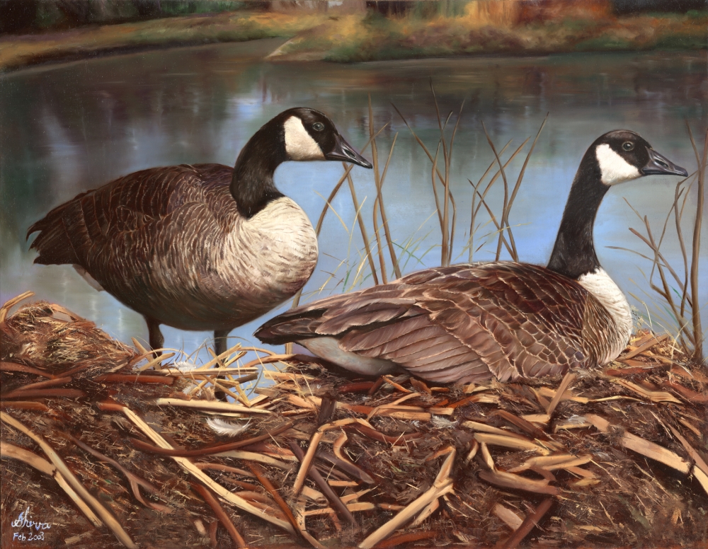 Nesting Poster Print by Shiva - 11 x 8 in.