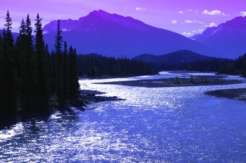 DPI1763779LARGE Mountains & A River Jasper National Park Alberta Poster Print by Don Hammond, 34 x 22 - Large