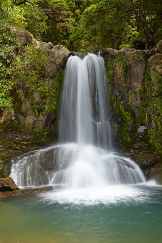 Waiau Waterfall Near 309 Road Coromandel Peninsula North Island New Zealand Print by David Wall