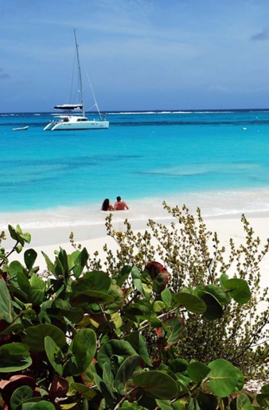 PDDCA03LSE0001 Swimming the Waters of Prickly Pear Island with Festiva Sailing Vacations Print by Lynn Seldon