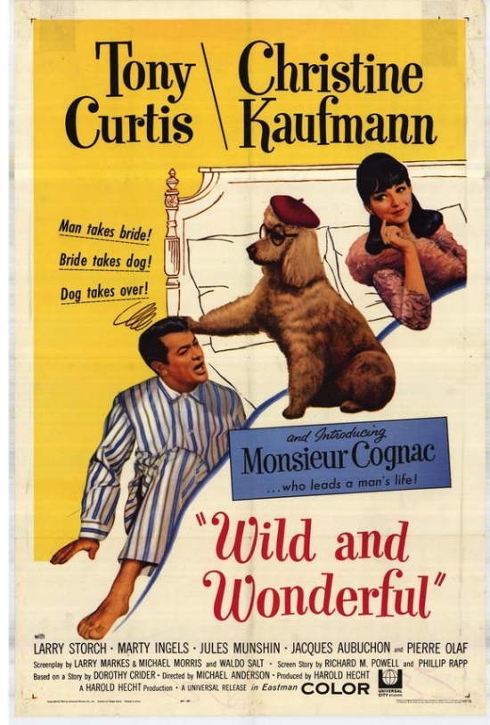 Wild & Wonderful Movie Poster - 27 x 40 in.