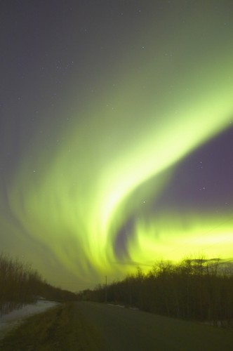 Northern Lights Alberta Canada Poster Print by Carson Ganci - 11 x 17