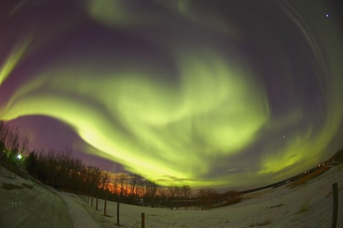 DPI1766365LARGE Northern Lights Edmonton Alberta Canada Poster Print by Carson Ganci, 34 x 22 - Large