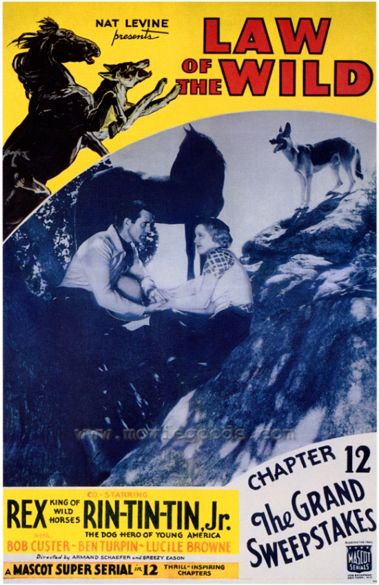 MOVGF2301 The Law of the Wild Movie Poster - 27 x 40 in.