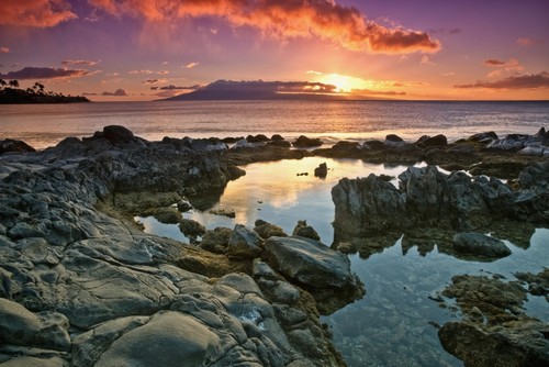 DPI12305797 Sunset Reflected in The Tranquil Tide Pools Along The Coast - Hawaii United States of America Poster Print by Scott Mead, 19 x 12