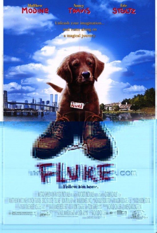 Fluke Movie Poster - 27 x 40 in.