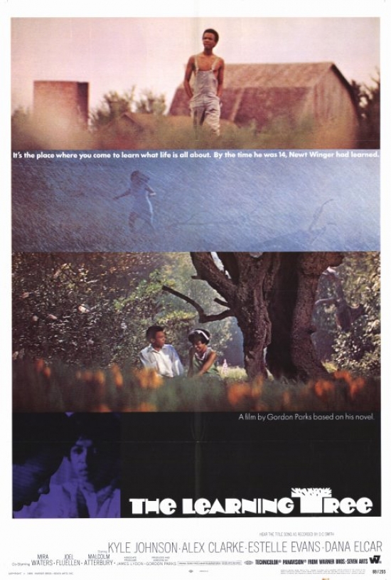 MOVCH1294 The Learning Tree Movie Poster - 27 x 40 in.
