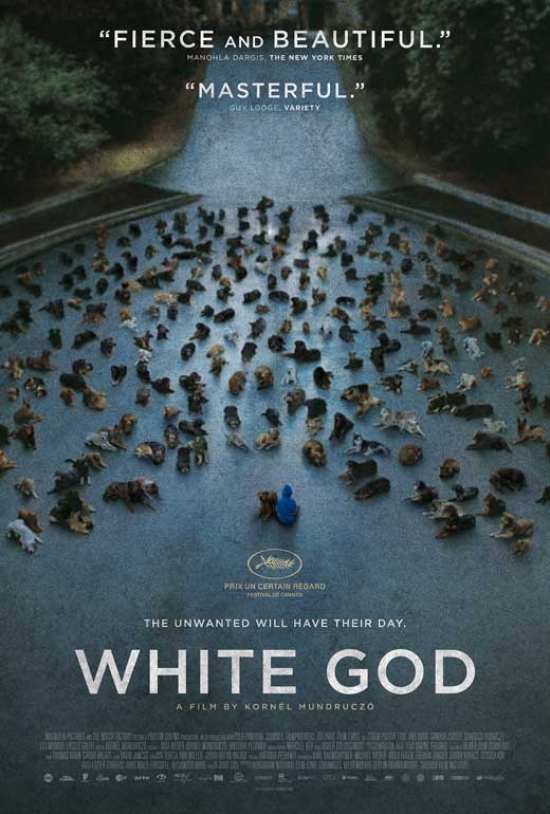 MOVEB10445 White God Movie Poster - 27 x 40 in.