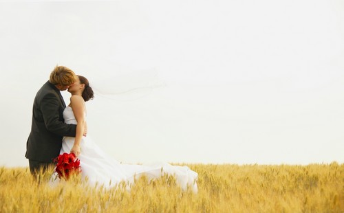 DPI1480397LARGE Bride & Groom Kiss Poster Print by Don Hammond, 34 x 22 - Large