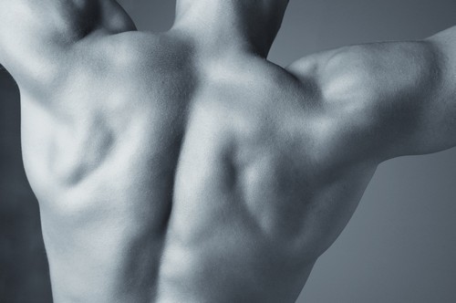 A Mans Back Poster Print by Don Hammond, 17 x 11
