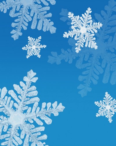 Snowflakes Poster Print by Don Hammond, 12 x 15
