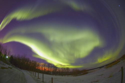 DPI1766364LARGE Northern Lights Edmonton Alberta Canada Poster Print by Carson Ganci, 34 x 22 - Large
