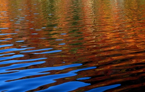 Colored Reflections On Water Poster Print by David Chapman - 17 x 11