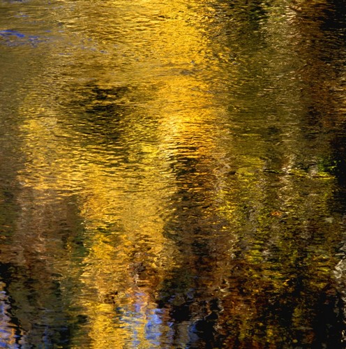 DPI1773386LARGE Reflections On The Water Poster Print by David Chapman, 24 x 24 - Large