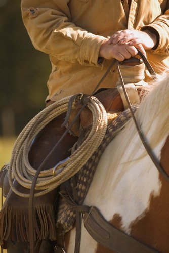 Cowboy & Lasso Poster Print by Carson Ganci, 11 x 17