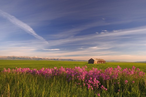 Rural Landscape Alberta Canada Poster Print by Carson Ganci, 34 x 22 - Large