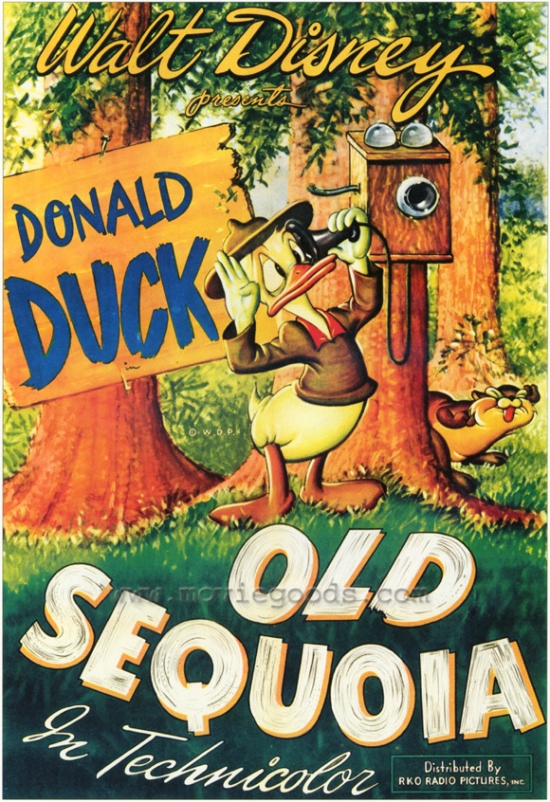 MOVCF5332 Old Sequoia Movie Poster - 27 x 40 in.