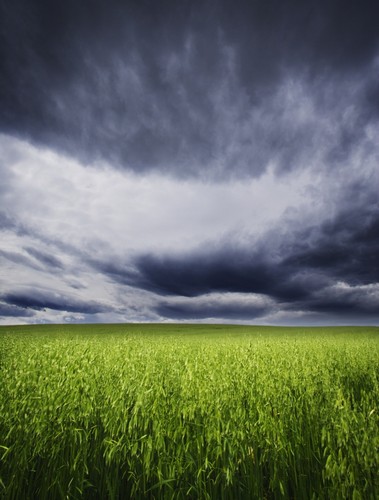A Stormy Sky Poster Print by Kelly Redinger, 24 x 32 - Large
