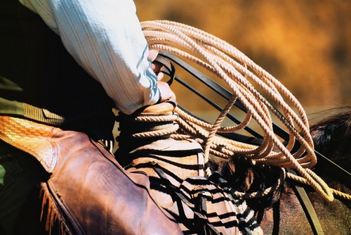 Cowboy with Rope Poster Print by Carson Ganci, 34 x 22 - Large
