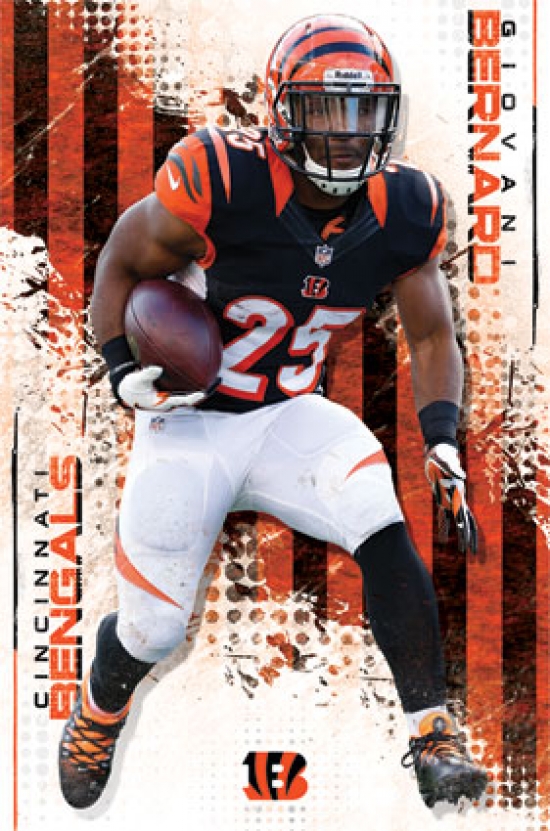 Giovani Bernard 2014 Poster Print - 22 x 34 in.