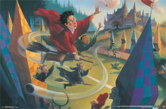 Harry Potter - Quidditch Poster Print - 22 x 34 in.