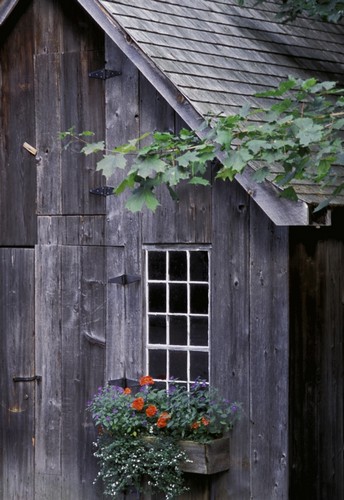 Wooden Building & Window Box Poster Print by David Chapman, 22 x 34 - Large