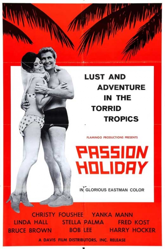 MOVAB65733 Passion Holiday Movie Poster - 27 x 40 in.