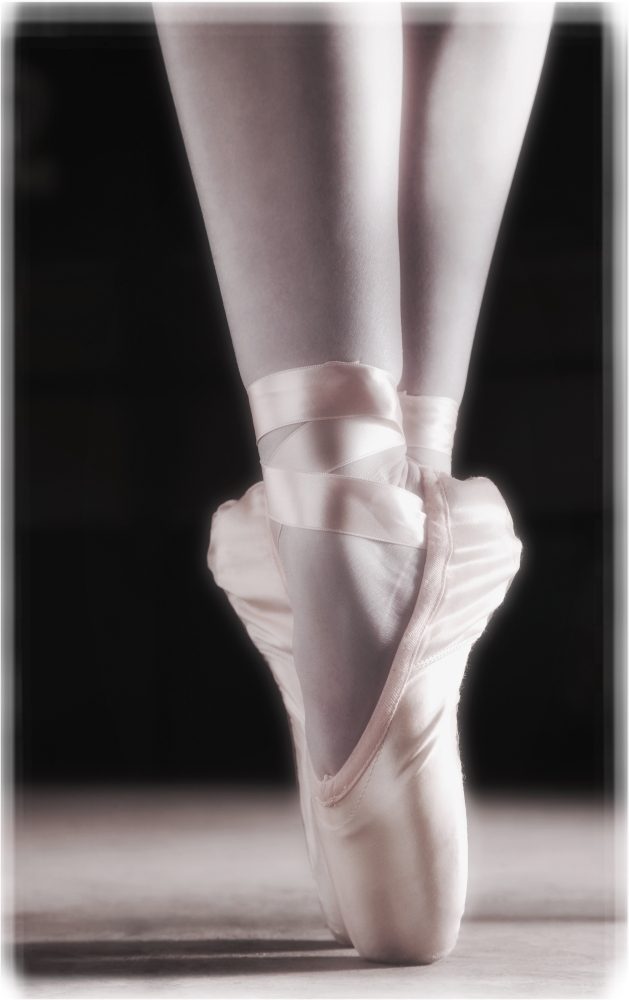 Ballet Slippers Poster Print by Don Hammond, 22 x 34 - Large