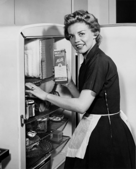 SAL2555356 Portrait of a Young Woman Standing Near a Refrigerator Poster Print - 18 x 24 in.