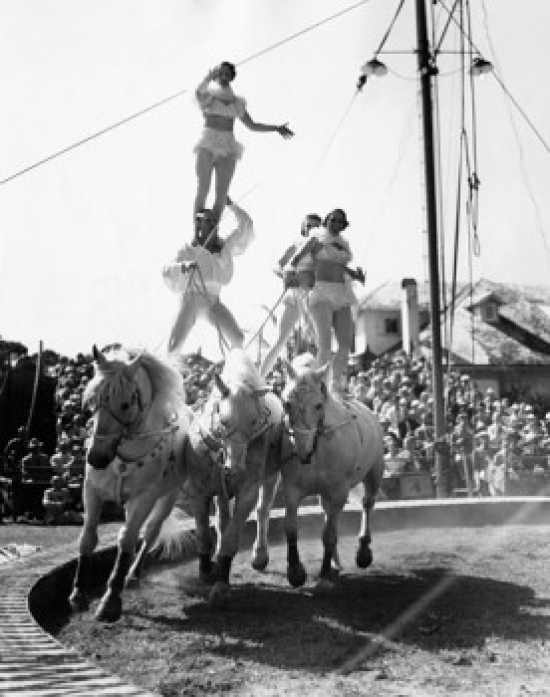 Acrobats Performing in a Circus Poster Print - 18 x 24 in.