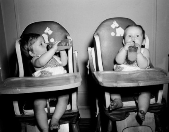 Two Babies Sitting in High Chairs Drinking From Baby Bottles Poster Print - 18 x 24 in.
